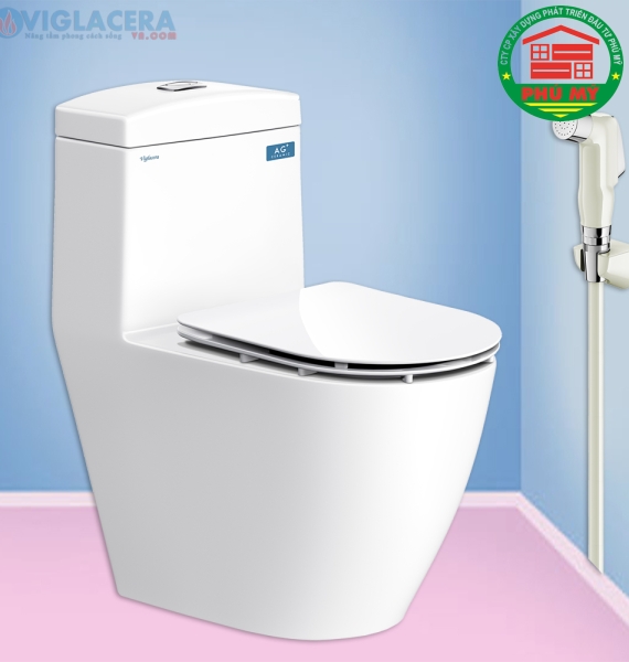 Bàn cầu Viglacera V199