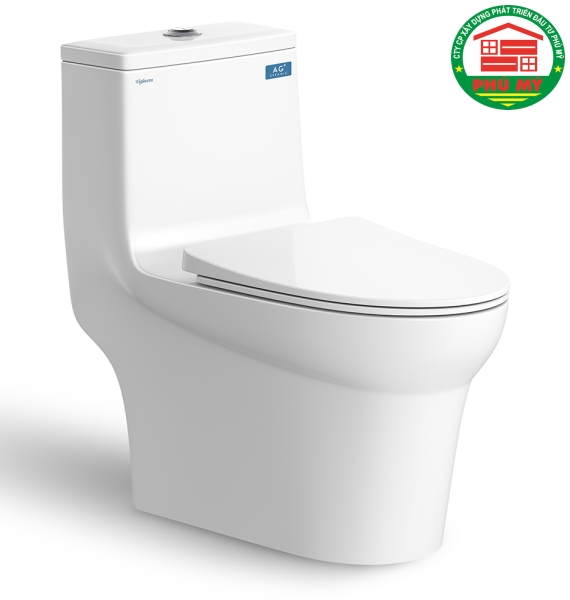 Bàn cầu Viglacera V65
