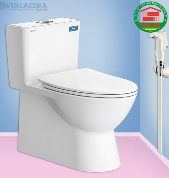 Bàn cầu Viglacera V808 
