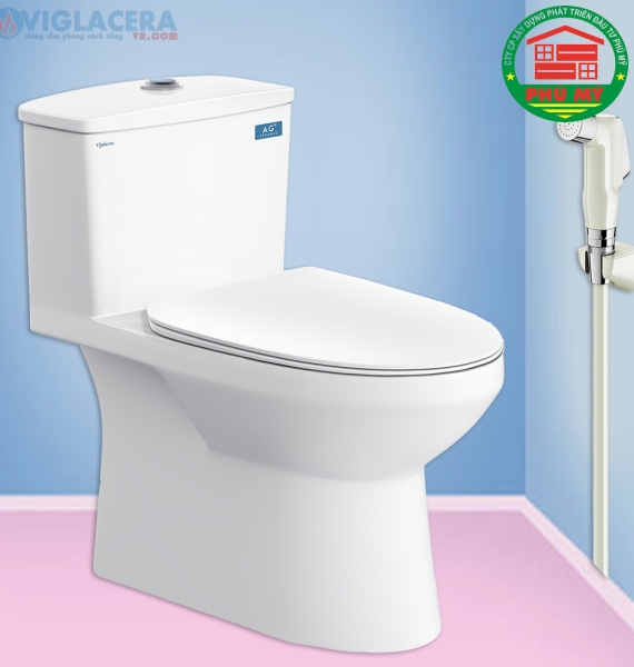 Bàn cầu Viglacera V811
