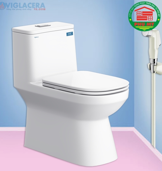 Bàn cầu Viglacera V816 