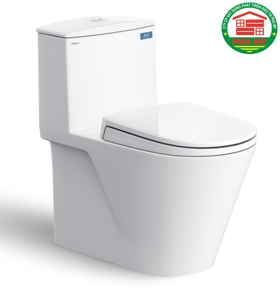 Bàn cầu Viglacera V817 