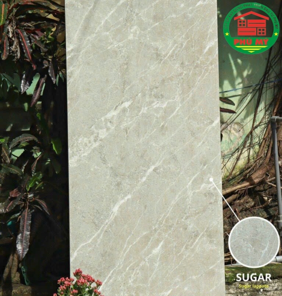 Apodio - 61225011